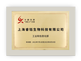 國家專精特新小巨人企業(yè)