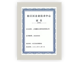 松江區(qū)企業(yè)技術(shù)中心