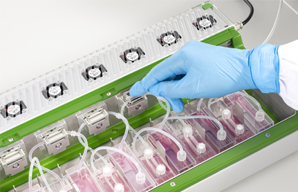 類(lèi)器官分析